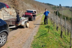 wp-15540299254701337771815592685046